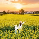 黄山旅游 缩略图 2