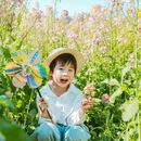 黄山旅游 缩略图 12
