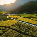 黄山旅游 缩略图 15