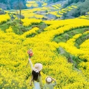 黄山旅游 缩略图 6