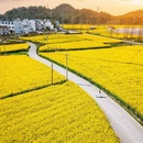 黄山旅游 缩略图 3