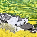 黄山旅游 缩略图 5