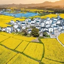 黄山旅游 缩略图 14