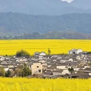 黄山旅游 缩略图 6