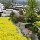 黄山旅游 缩略图 4