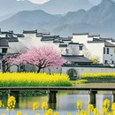 黄山旅游 缩略图 1