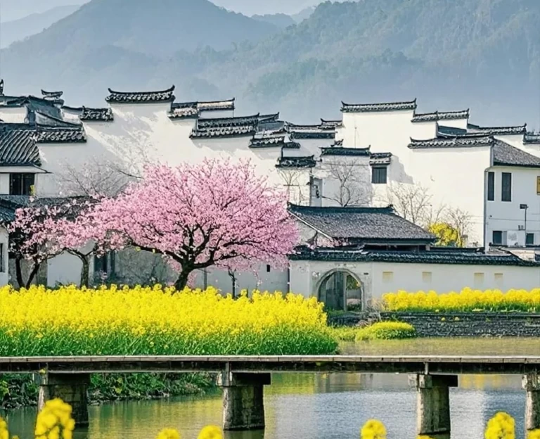 黄山旅游 1