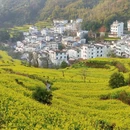 黄山旅游 缩略图 1