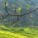 上饶旅游 缩略图 5