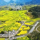 黄山旅游 缩略图 7