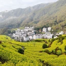 黄山旅游 缩略图 9