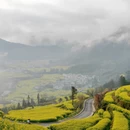 黄山旅游 缩略图 7