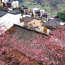 上饶旅游 缩略图 4
