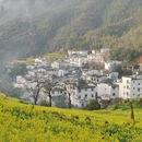 黄山旅游 缩略图 8