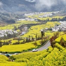 黄山旅游 缩略图 13