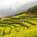 黄山旅游 缩略图 12