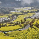 黄山旅游 缩略图 3