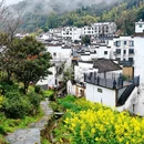 黄山旅游 缩略图 16