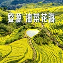 黄山旅游 缩略图 1