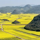 保山旅游 缩略图 1