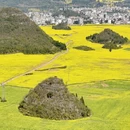 保山旅游 缩略图 2