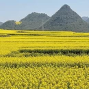 保山旅游 缩略图 5