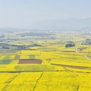保山旅游 缩略图 4