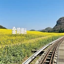 保山旅游 缩略图 9