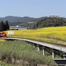 保山旅游 缩略图 7