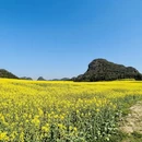 保山旅游 缩略图 12