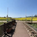 保山旅游 缩略图 10