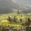 遵义旅游 缩略图 2