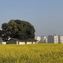 昆明旅游 缩略图 4