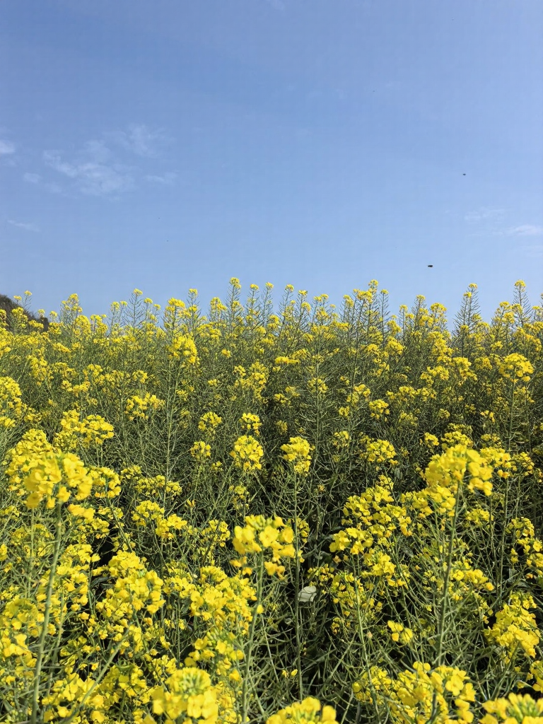 昆明旅游