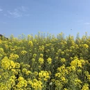 昆明旅游 缩略图 1