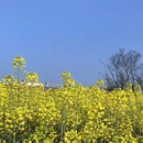 昆明旅游 缩略图 5