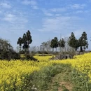 昆明旅游 缩略图 9