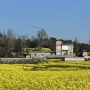 昆明旅游 缩略图 8