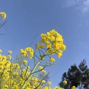 昆明旅游 缩略图 2