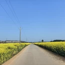 昆明旅游 缩略图 7