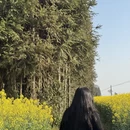 昆明旅游 缩略图 6