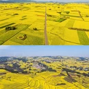 昆明旅游 缩略图 8