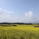昆明旅游 缩略图 12