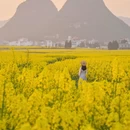 昆明旅游 缩略图 6