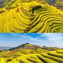昆明旅游 缩略图 12