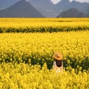 昆明旅游 缩略图 18