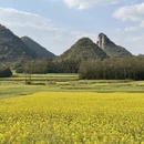 普洱旅游 缩略图 8