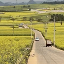 普洱旅游 缩略图 3
