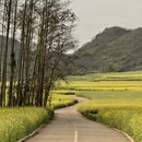 普洱旅游 缩略图 2