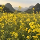 普洱旅游 缩略图 10